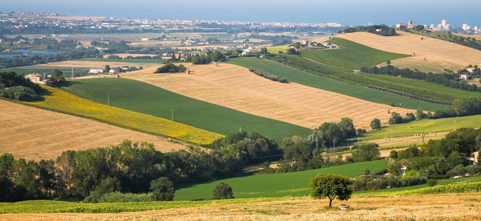Land view from property