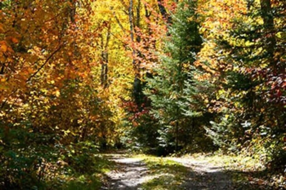 Hiking