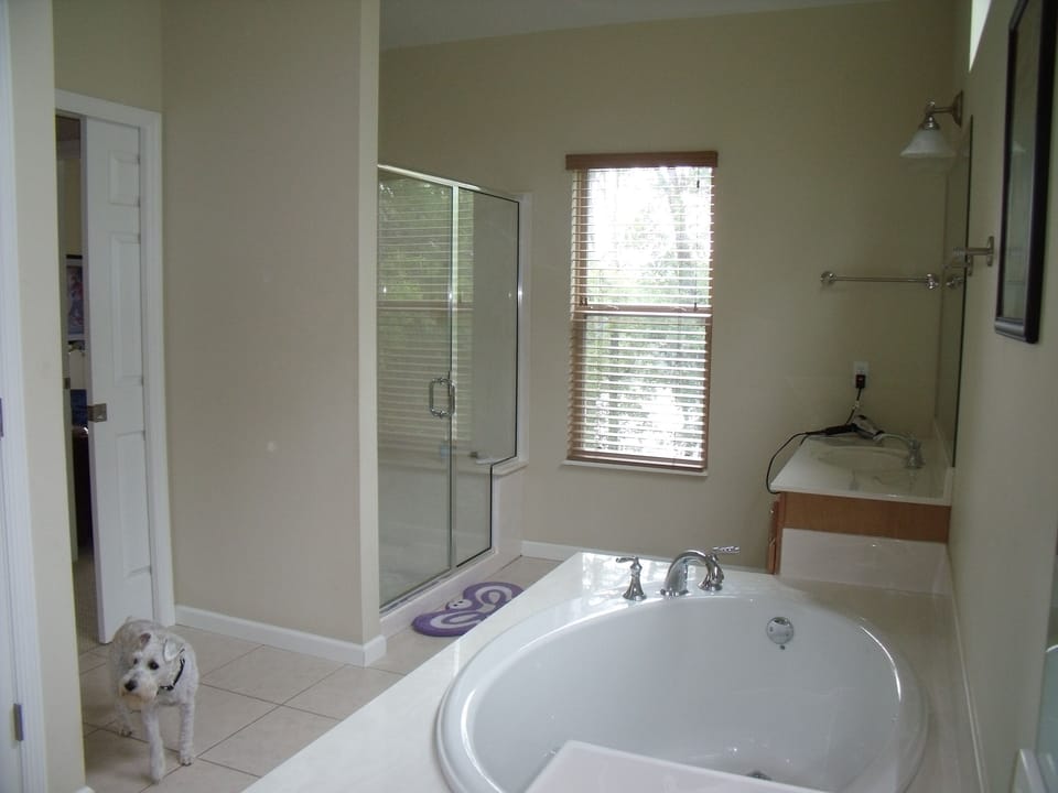 Master bathroom, Schnauzer not included 