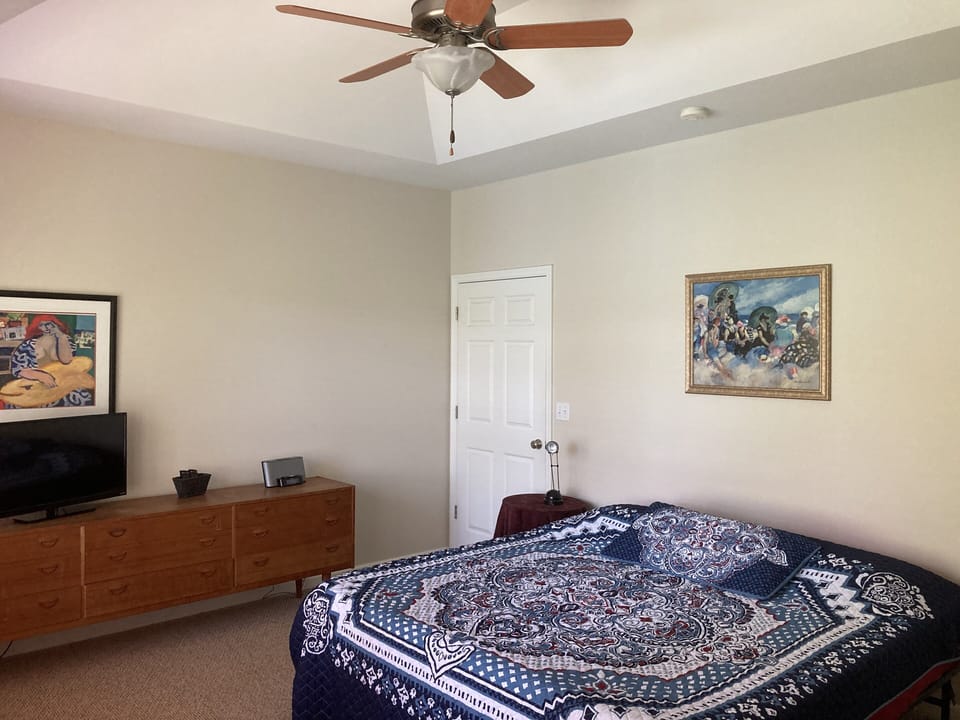 Master bedroom with TV