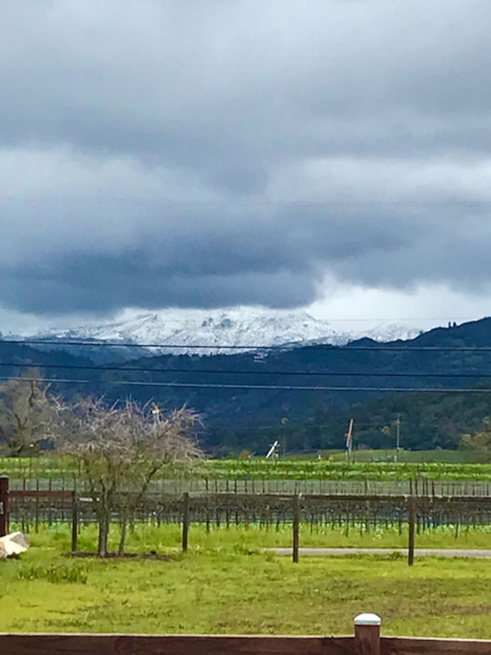 View from property