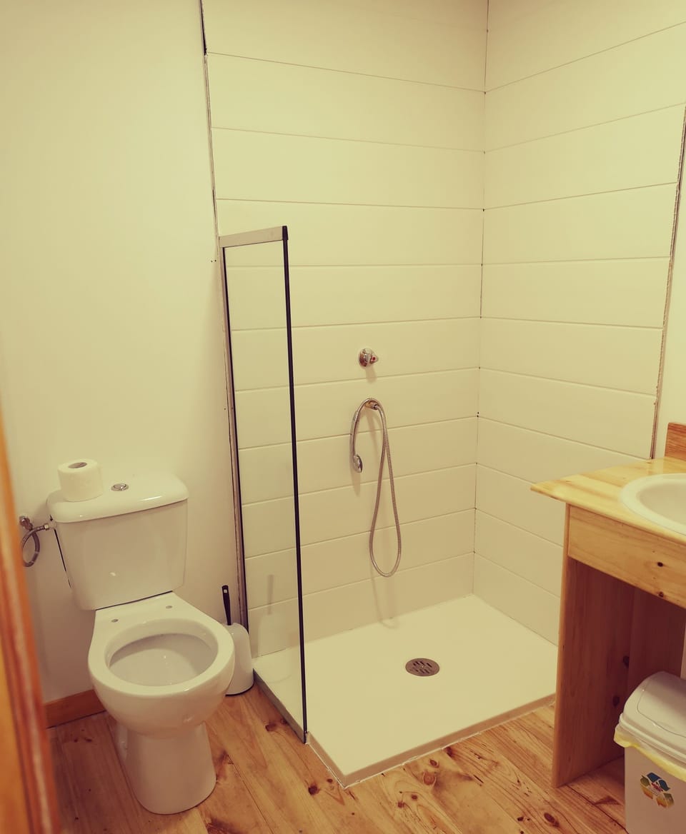 Shared Dormitory, Mixed Dorm (1 Bed in 12 Bed Dorm) | Bathroom | Shower, free toiletries, hair dryer, towels