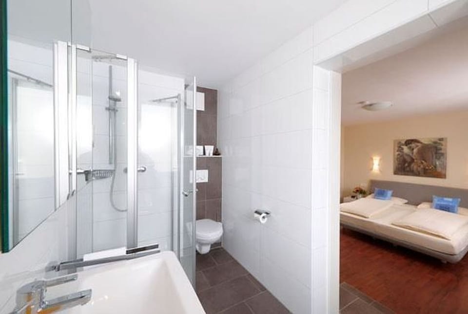 Shower, free toiletries, hair dryer, towels