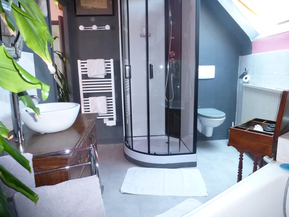 Classic Room | Bathroom | Hair dryer, towels
