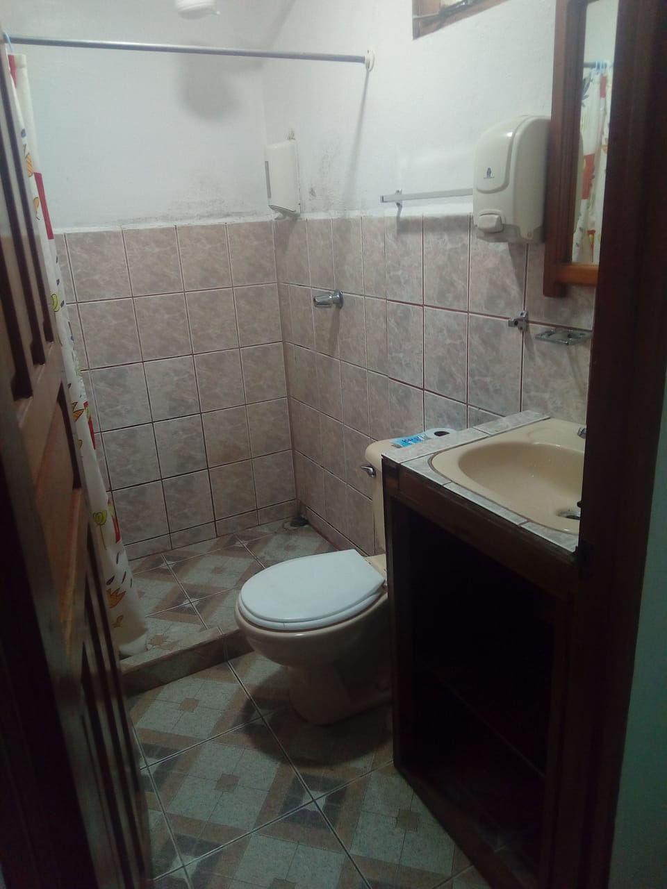 Bathroom shower