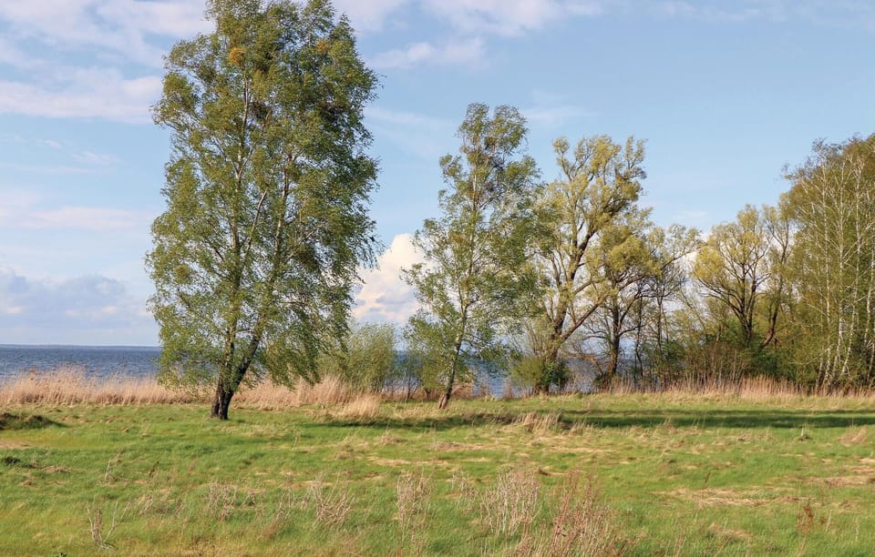 area