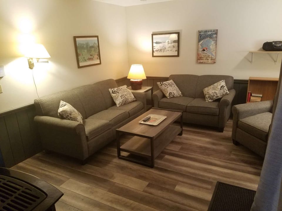 Living room with HDTV, Gas Fireplace, Roku, Ski Trail View