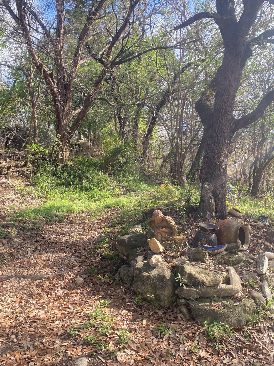 Surrounding nature