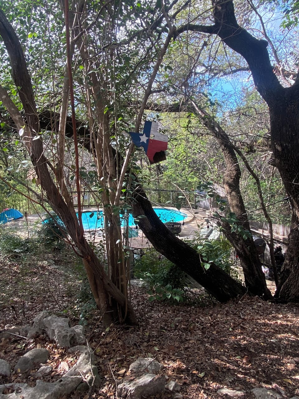 Surrounding nature