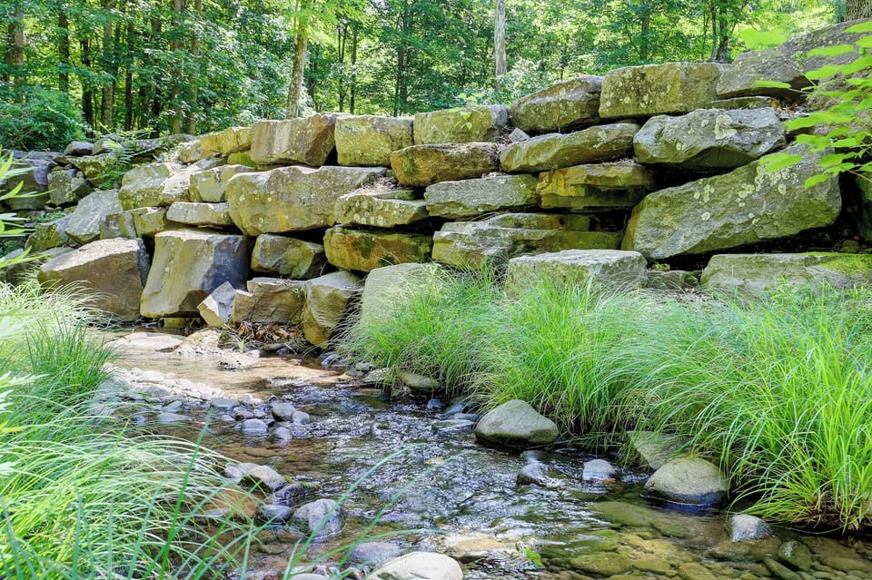 Our stream flows near the house. Kids love to play in it. 
