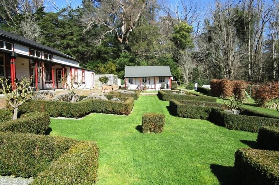 In the garden