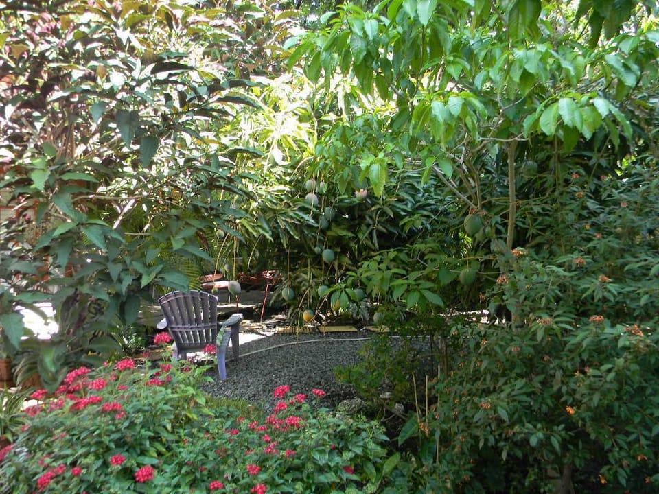 Garden and deck