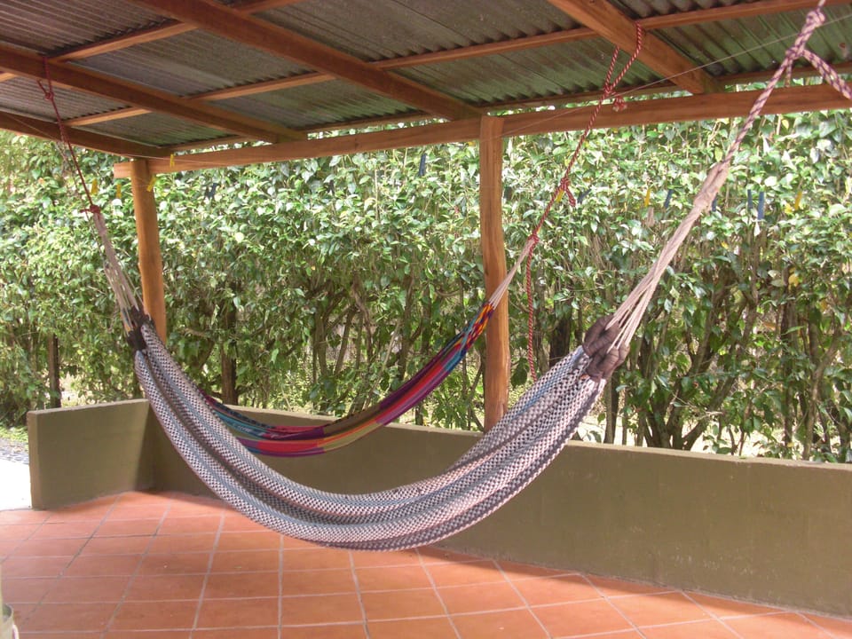 Chill out hammock area