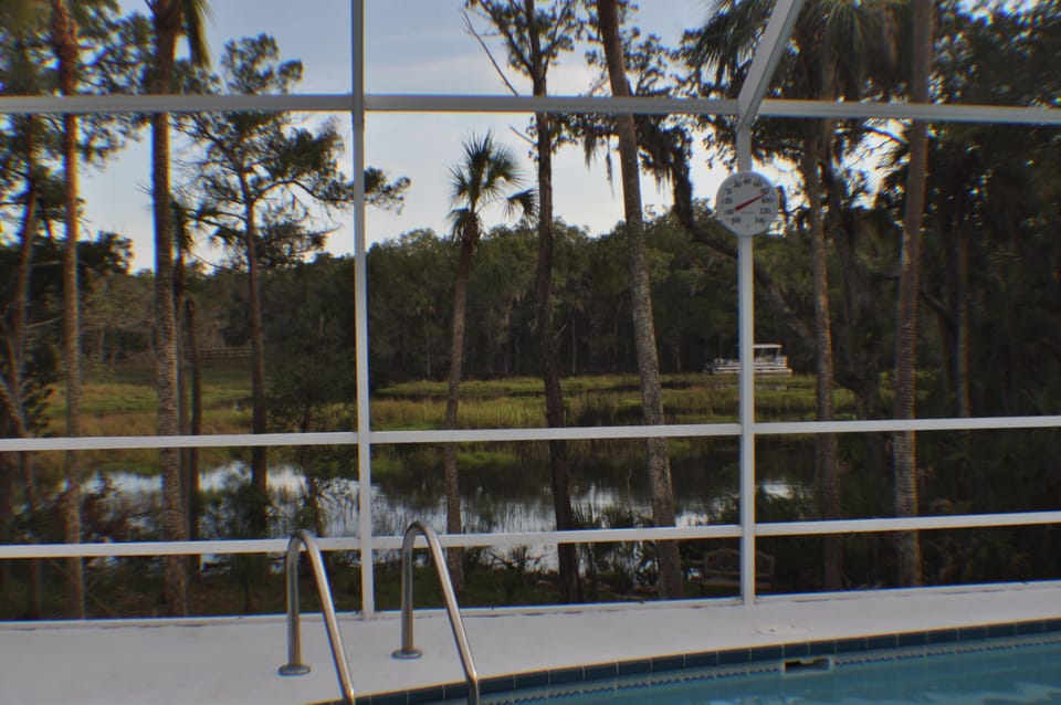 View out back