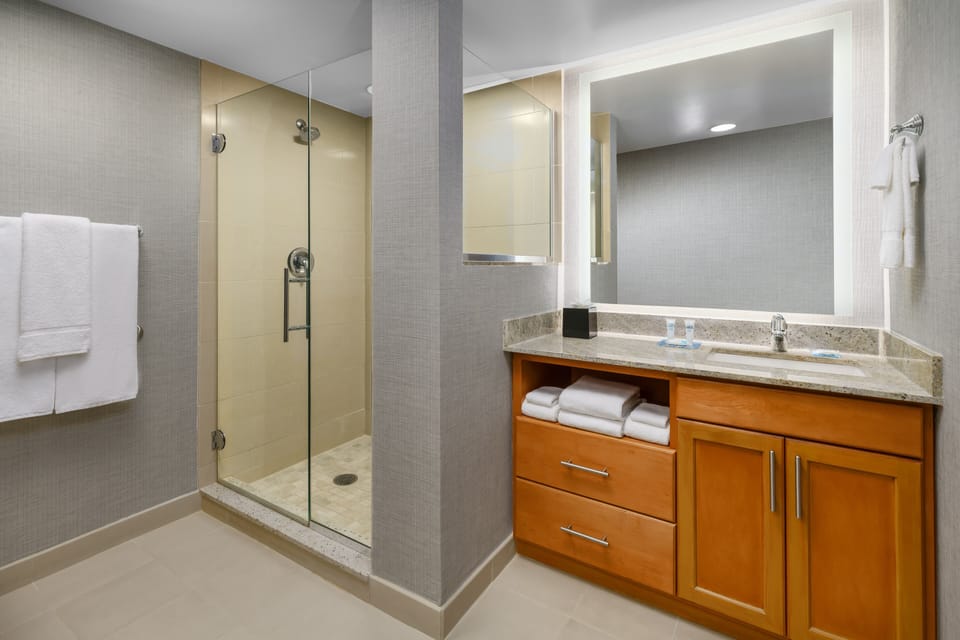 Hair dryer, towels, soap, shampoo