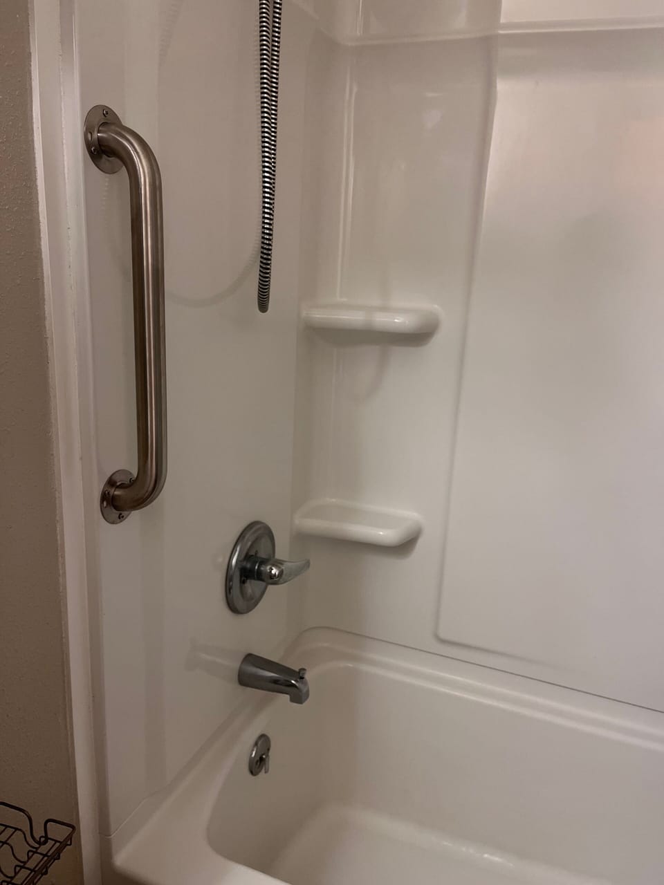 Grab bar in shower