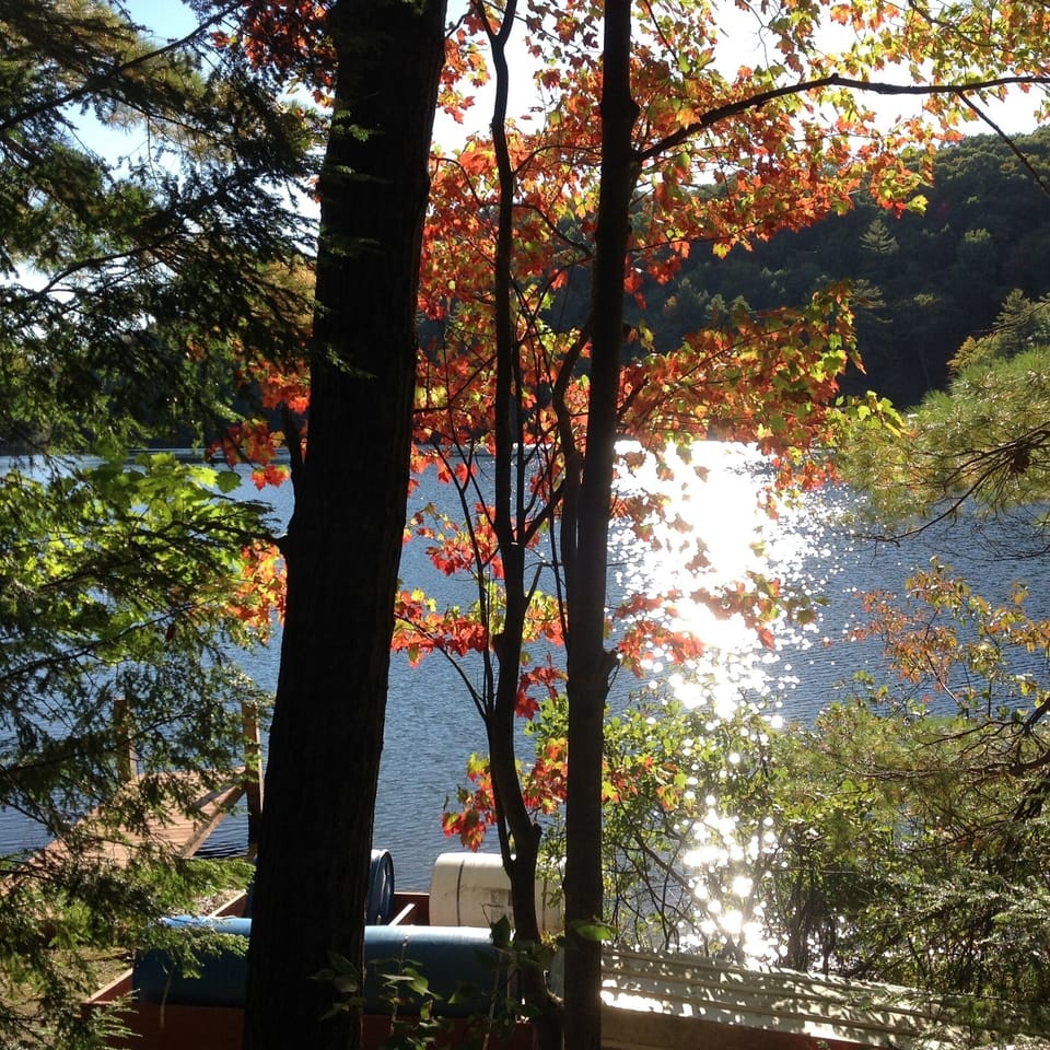View from property