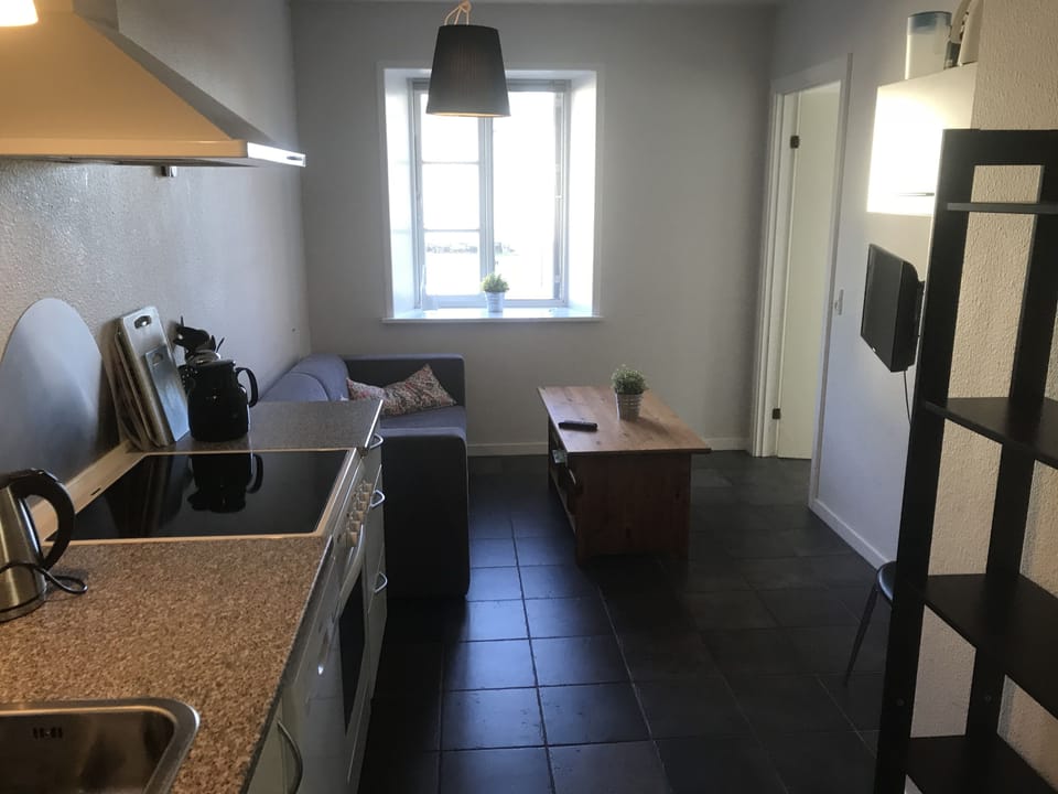 Apartment, 2 Bedrooms, Courtyard View | Private kitchen | Fridge, microwave, oven, stovetop