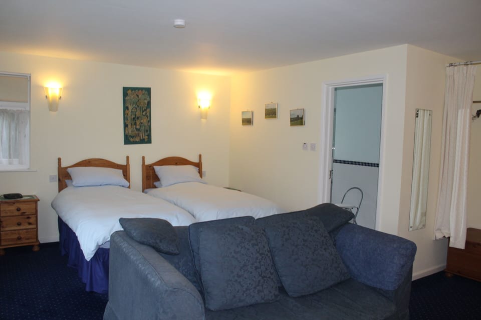 Traditional Twin Room | Hypo-allergenic bedding, iron/ironing board, free rollaway beds