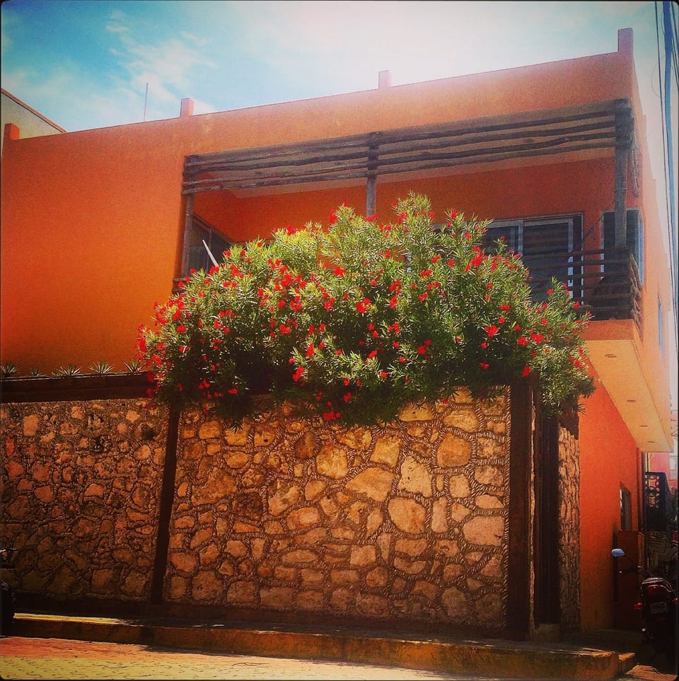 The second floor terrace overlooking our garden. 