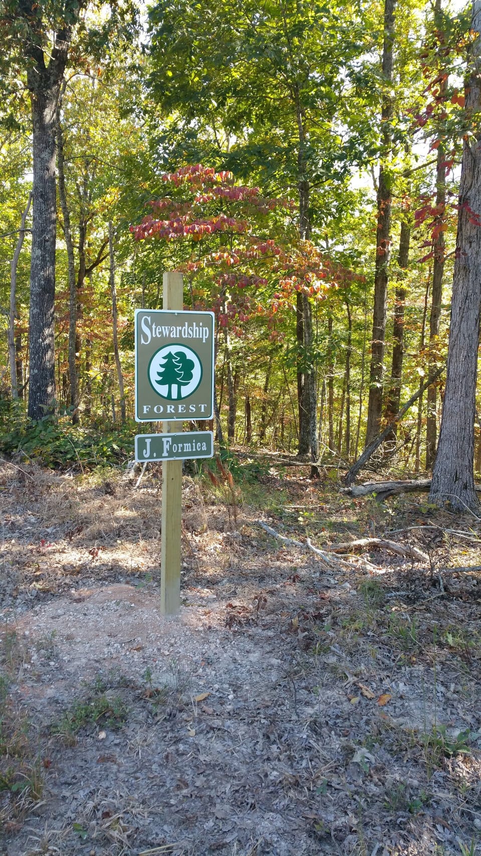 Our 125 wooded acres is a Stewardship Forest