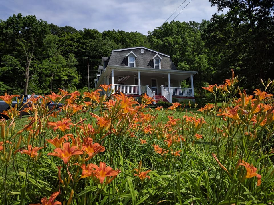 Riverhouse in summer