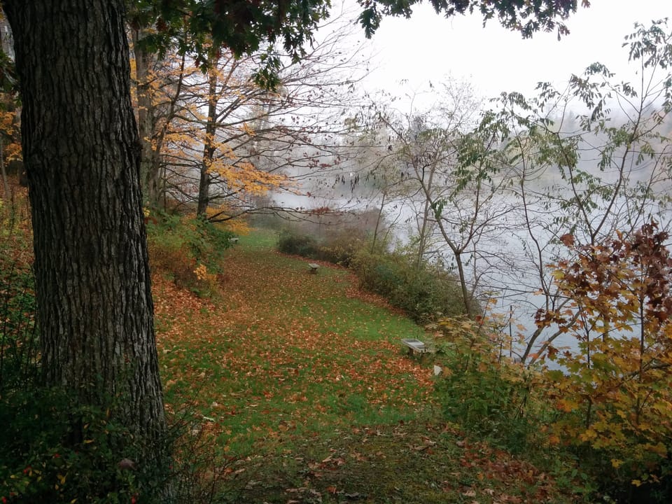 landscaped riverfront in autumn