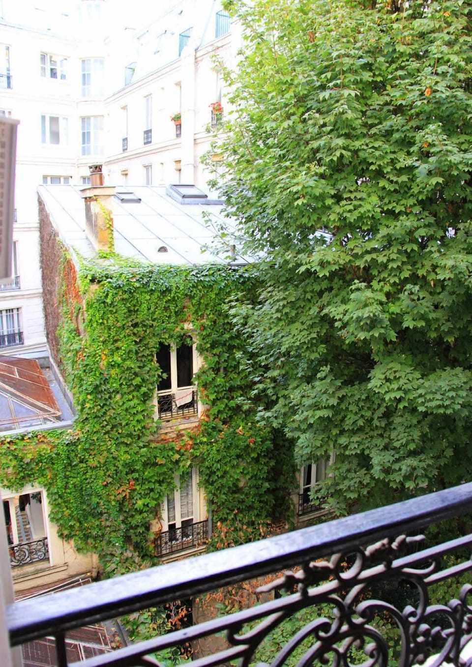 bed room view