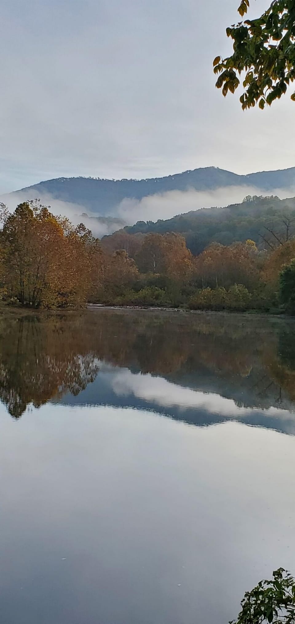 Morning fog on the Shenandoah River.