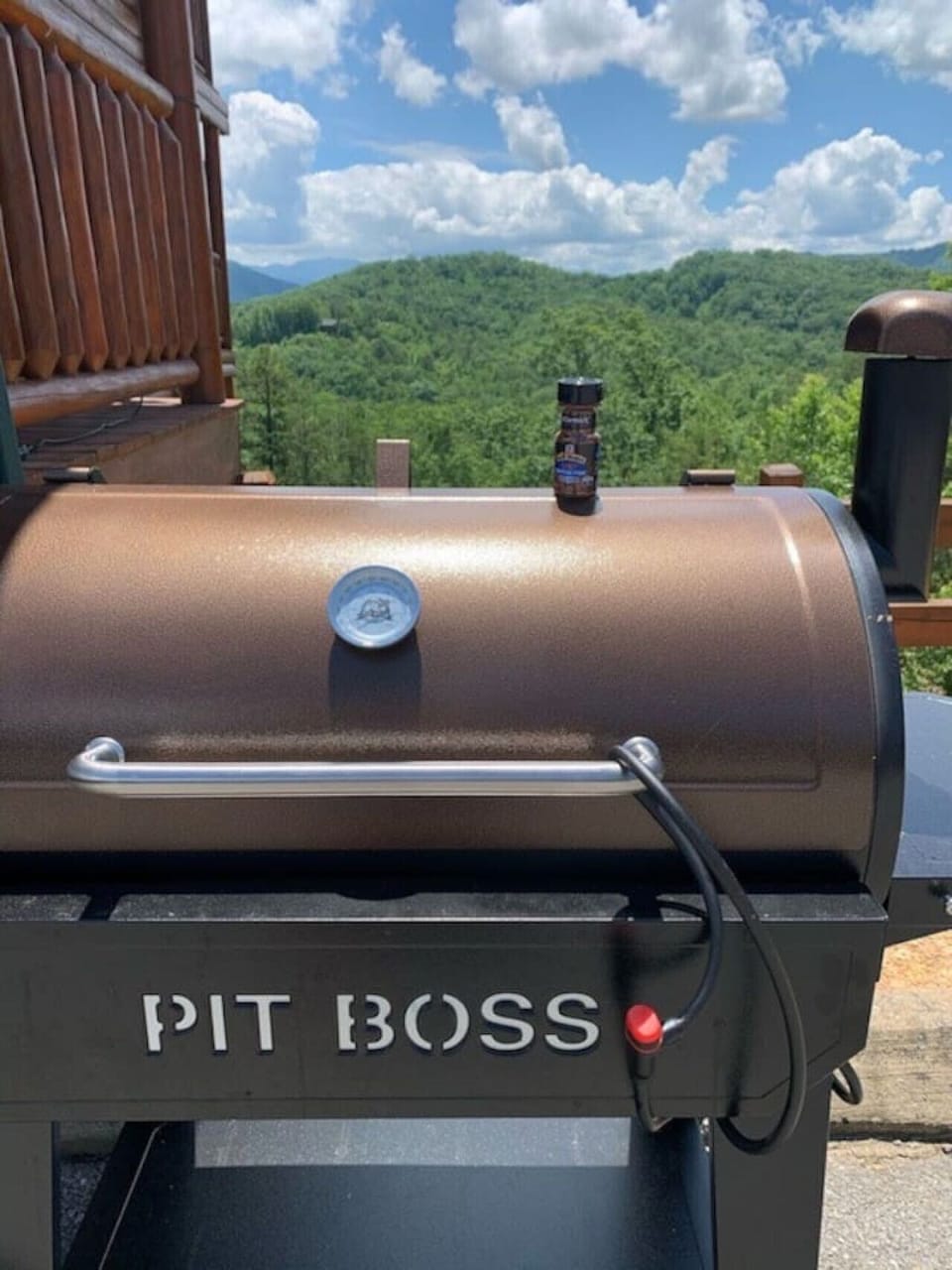 SMOKE OR GRILL