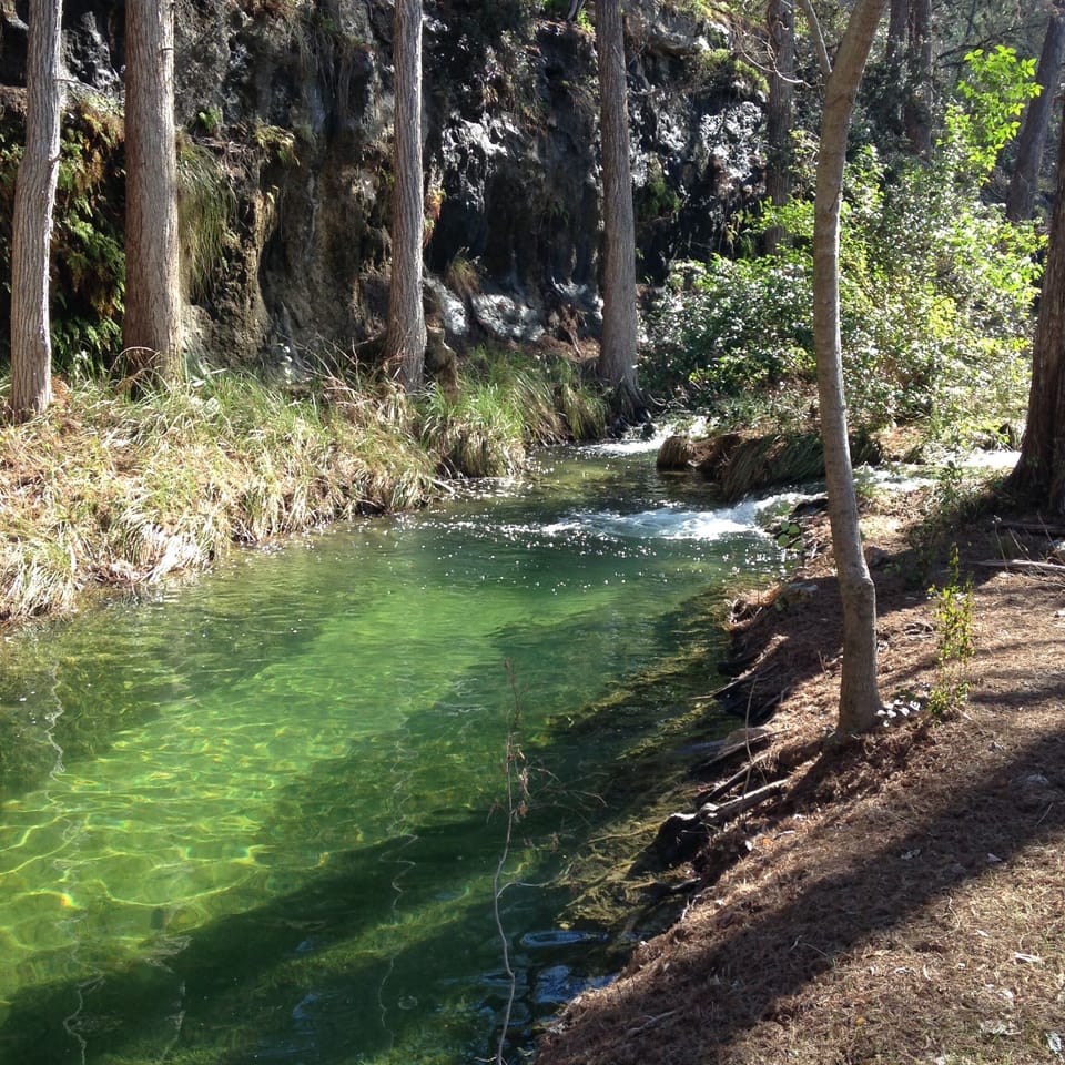 Portion of Lick Creek on property.
