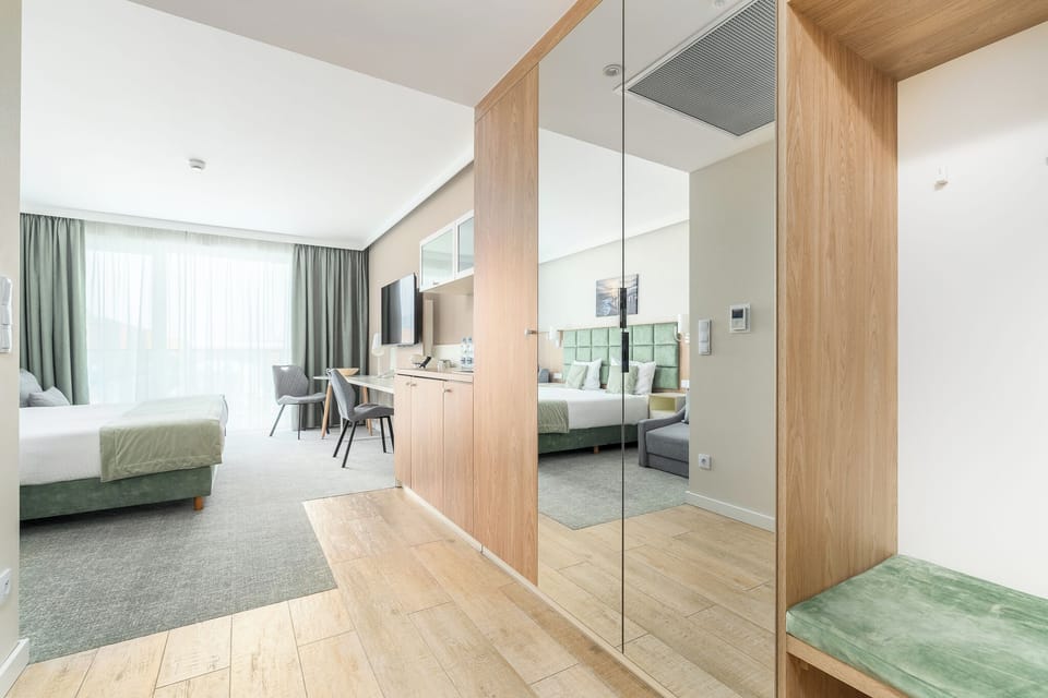 Apartament Deluxe | Private kitchenette | Fridge, microwave, stovetop, electric kettle