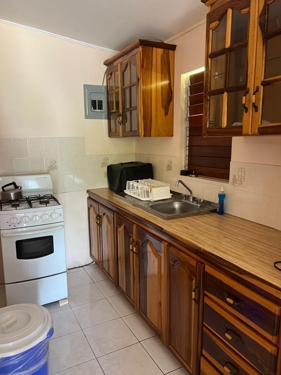 One Bedroom Villa | Private kitchen | Oven