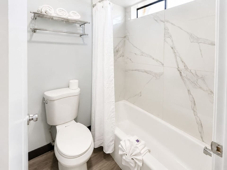 Combined shower/tub, free toiletries, hair dryer, towels