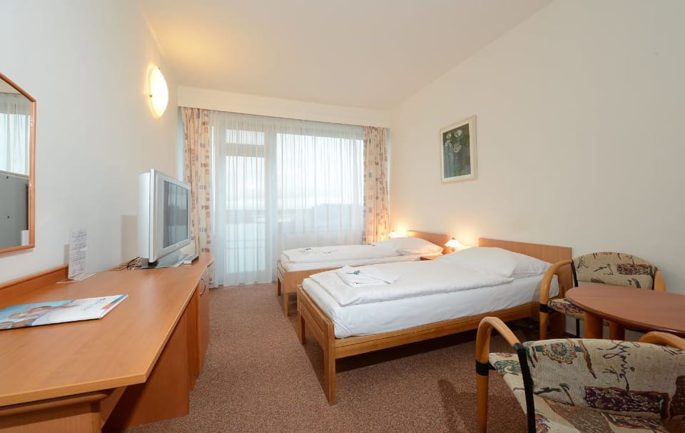 Double Room (Harmonie) | 1 bedroom, in-room safe, desk, blackout drapes