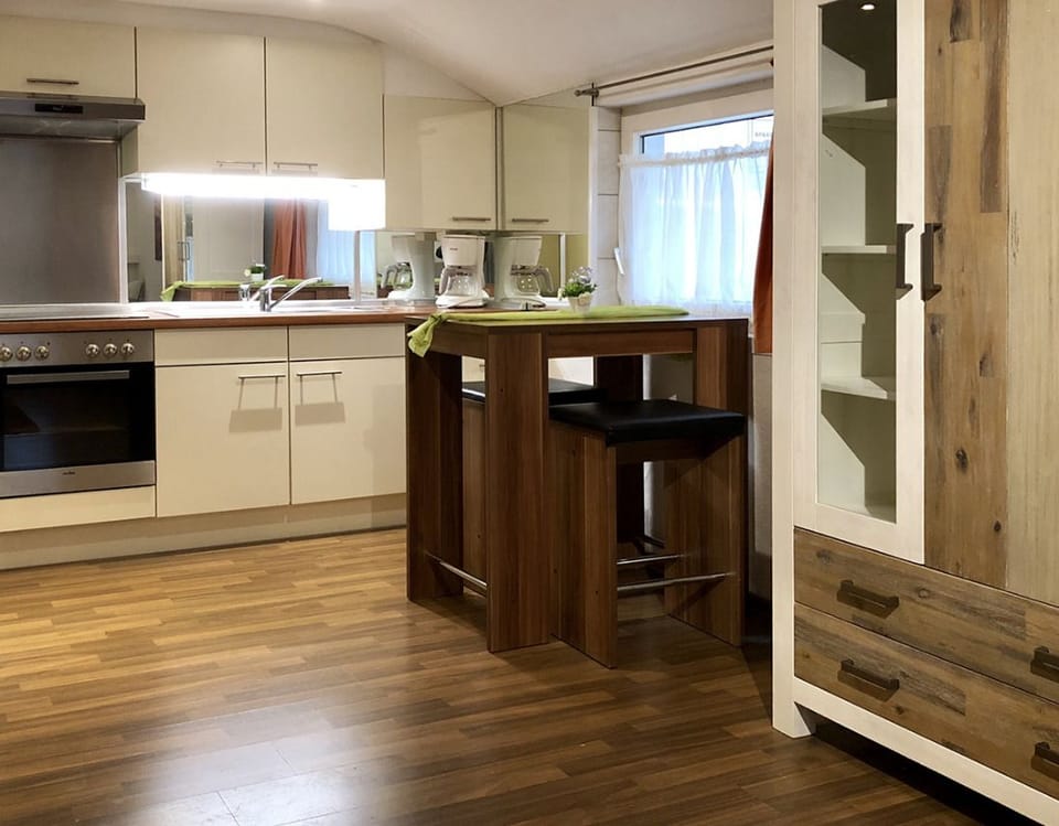 Economy Double-Apartment | Private kitchen | Fridge, microwave, stovetop, coffee/tea maker