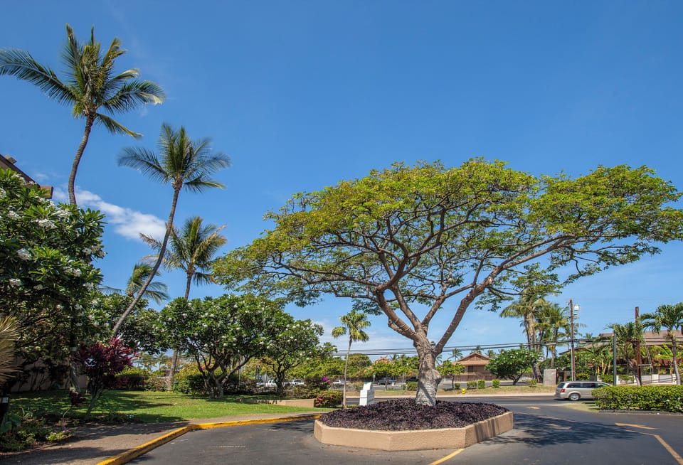 Maui Vista - Entrance