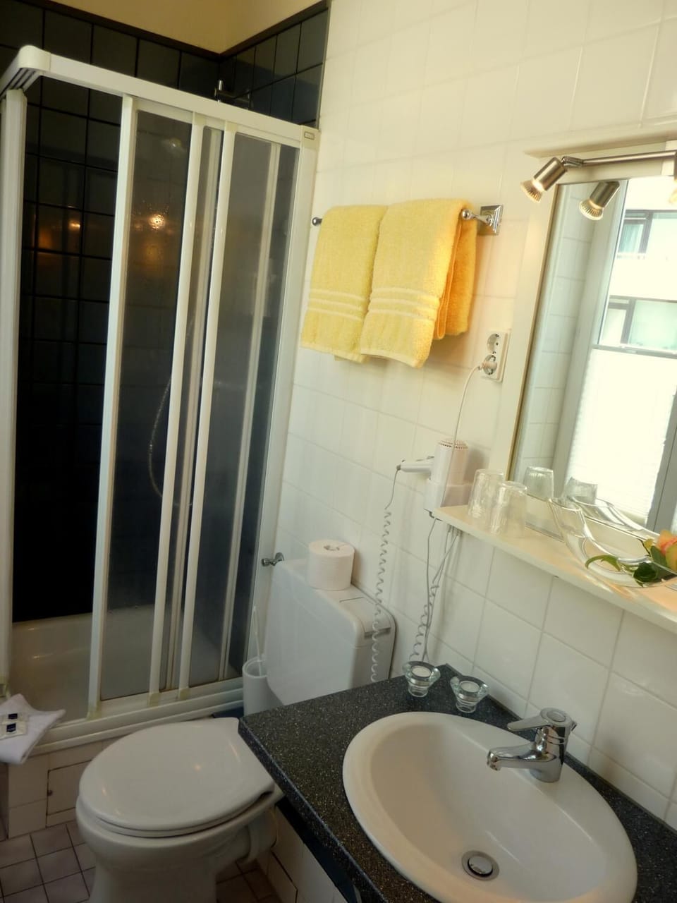 Shower, hair dryer, towels