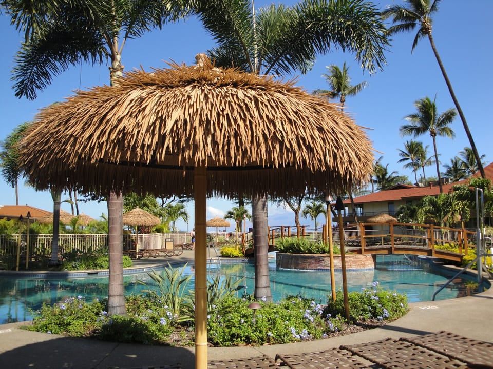 Tropical pool