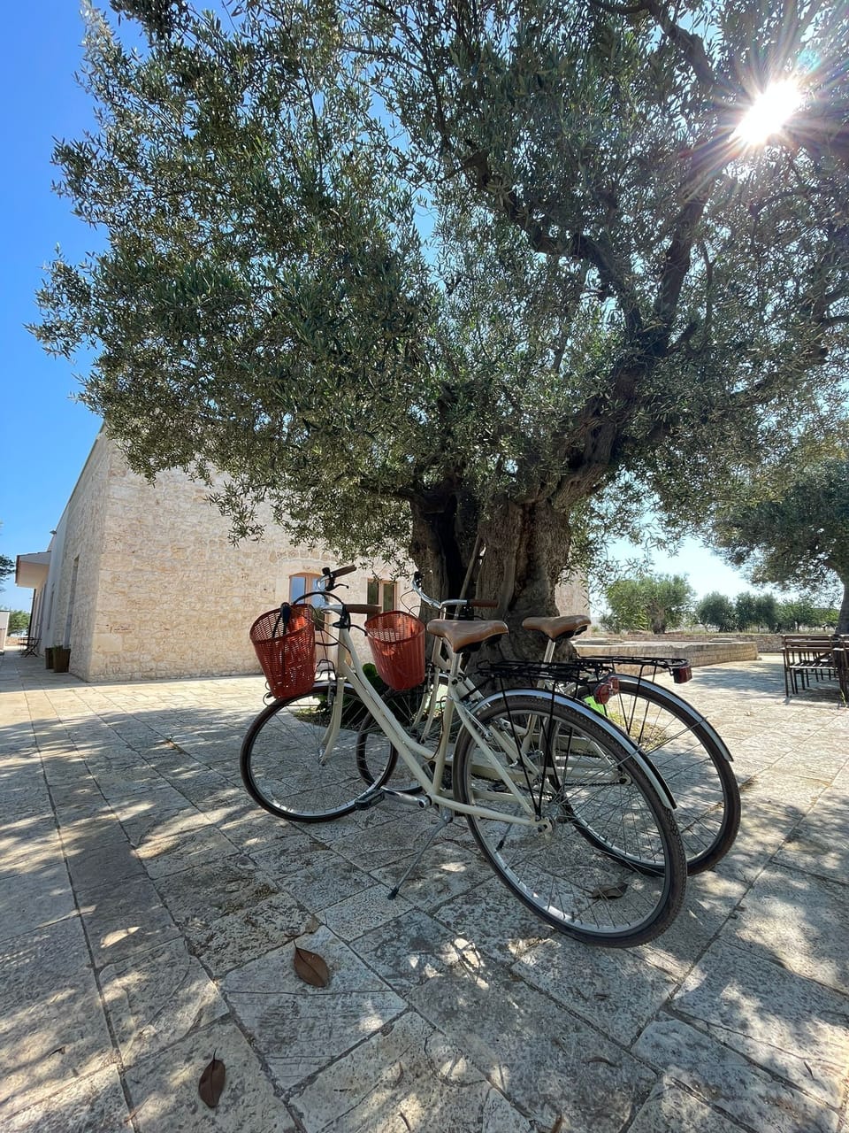 Bicycling