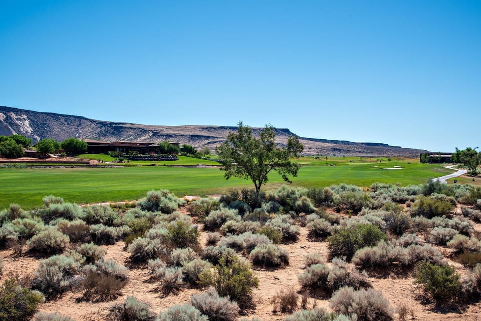 House, Multiple Beds, Mountain View (I Could Live Here) | Golf