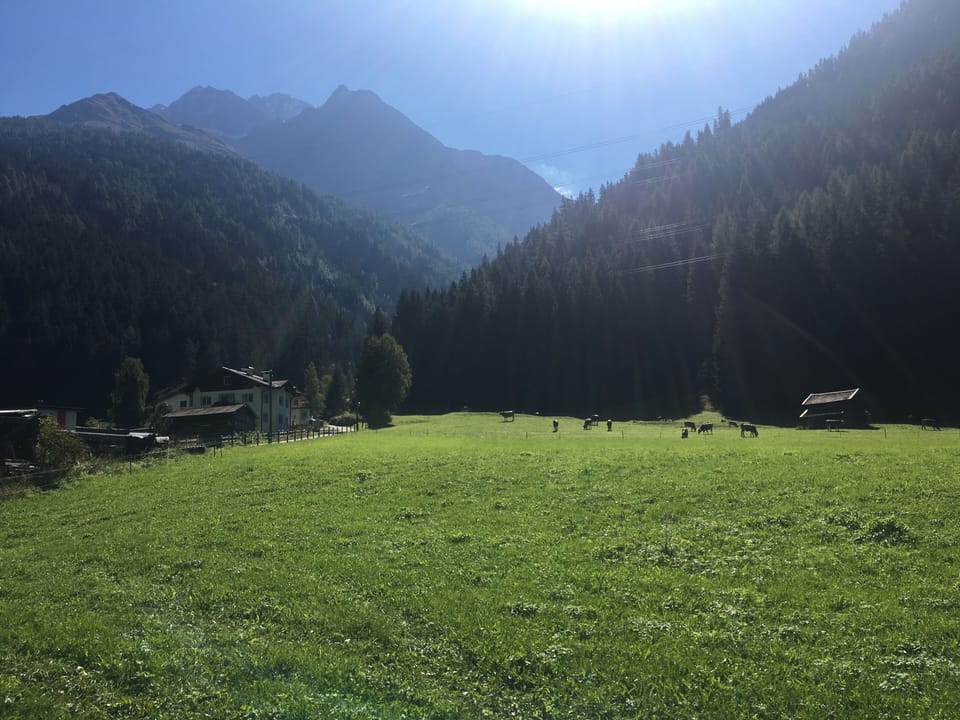 Field towards Monfontal and Hoher Riffler