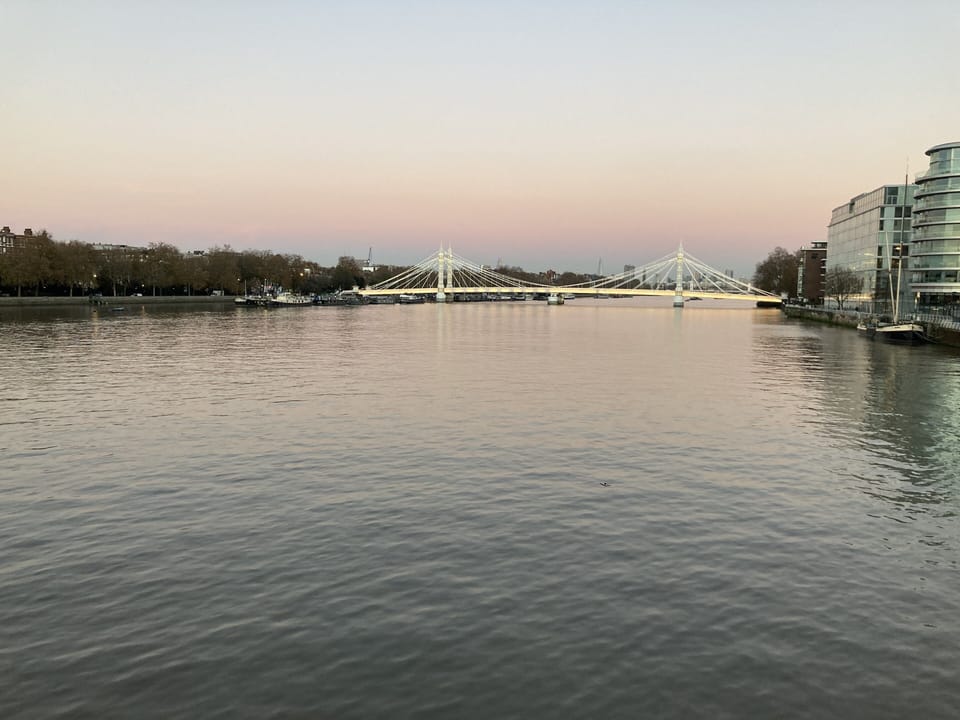 View from Battersea Bridge, 220m from our house, of Albert Bridge. 