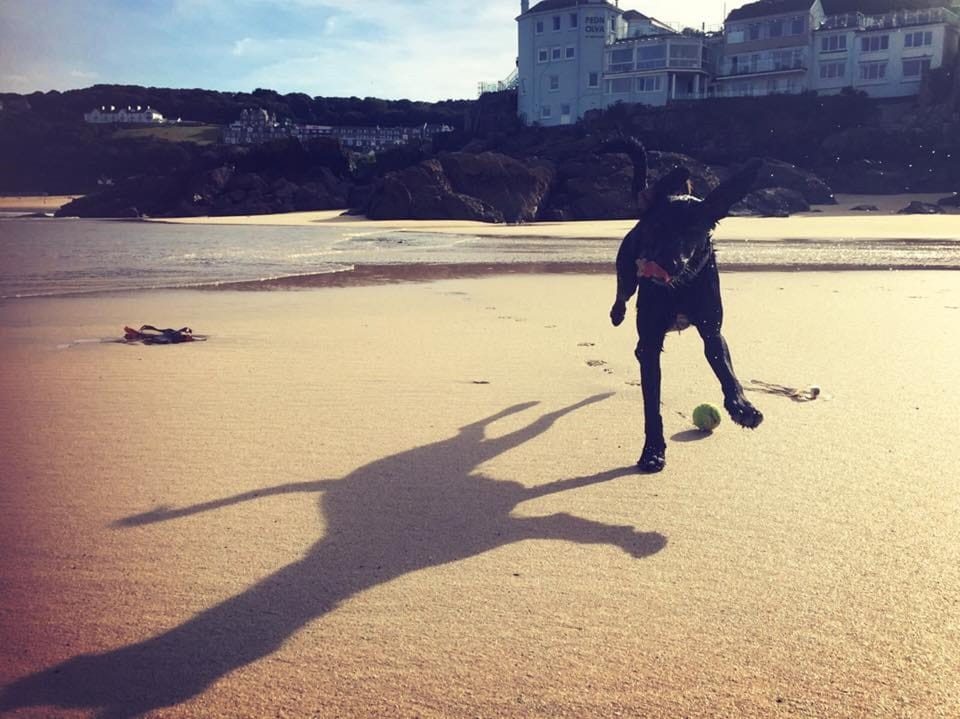 Dog heaven, all year round!