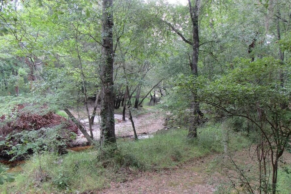 River at low level. Very difficult to kayak at this river stage.