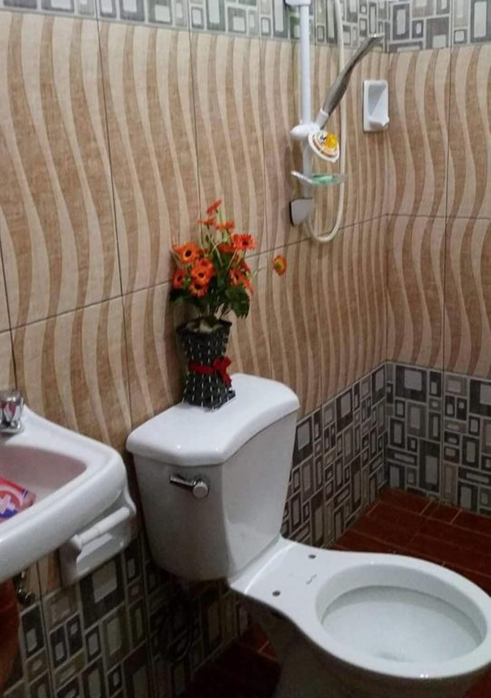 Shower, free toiletries, bidet, towels
