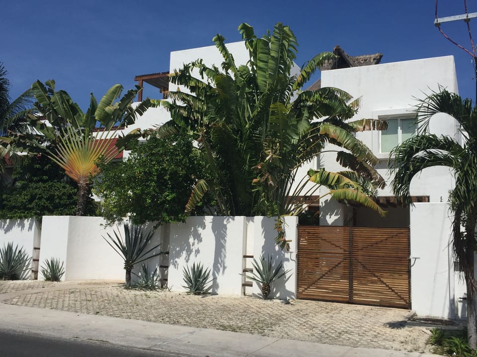 The house facade from the street