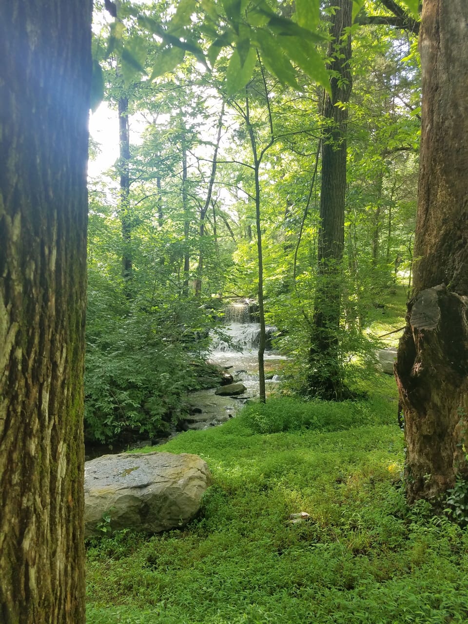 Waterfalls are on the property