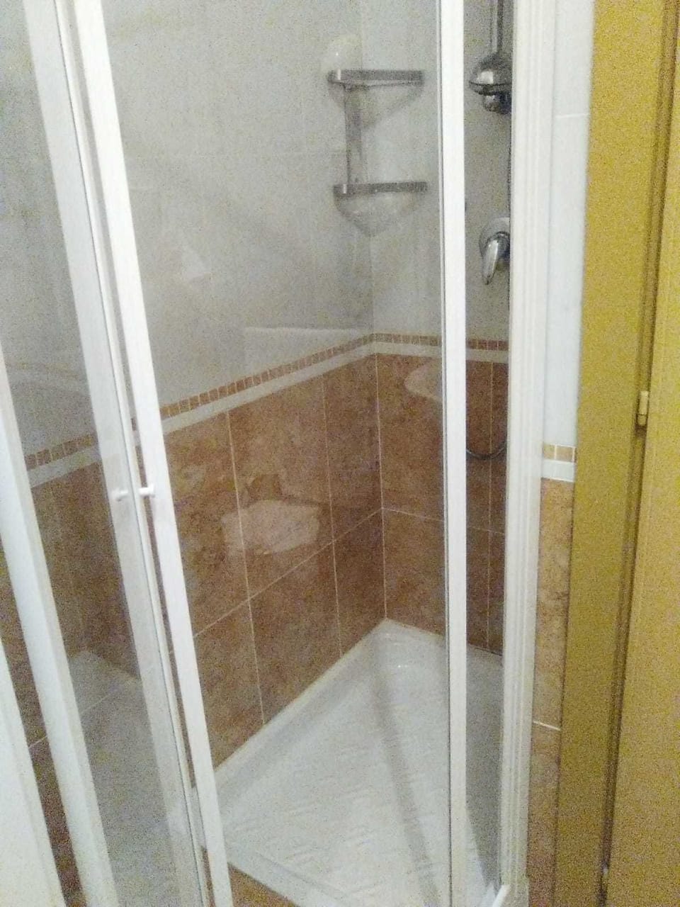 Hair dryer, bidet, towels