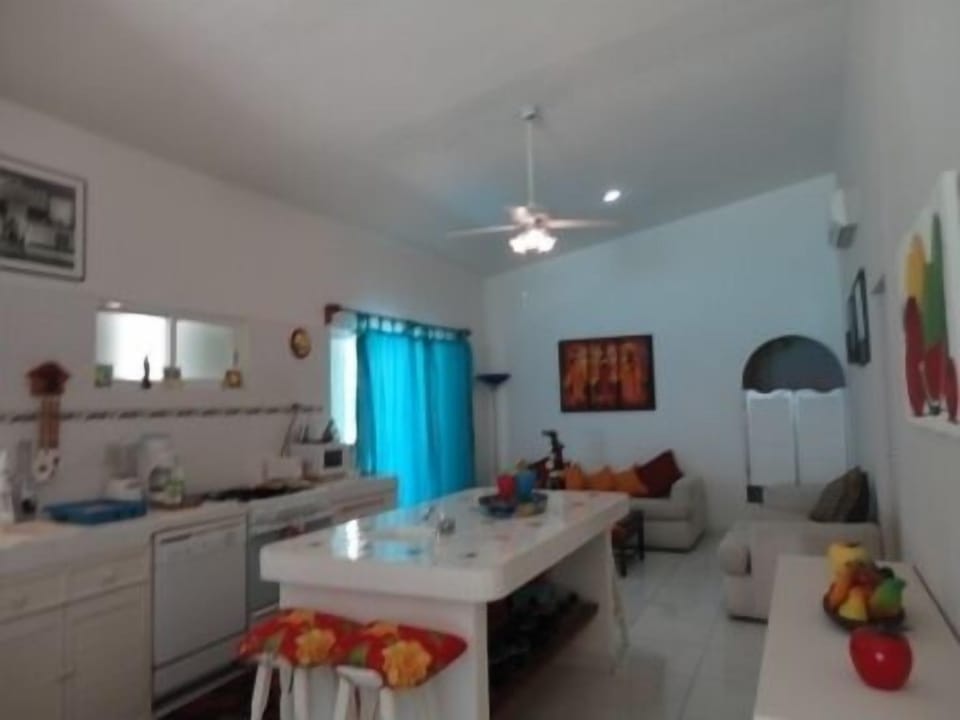 Kitchen-Family Room